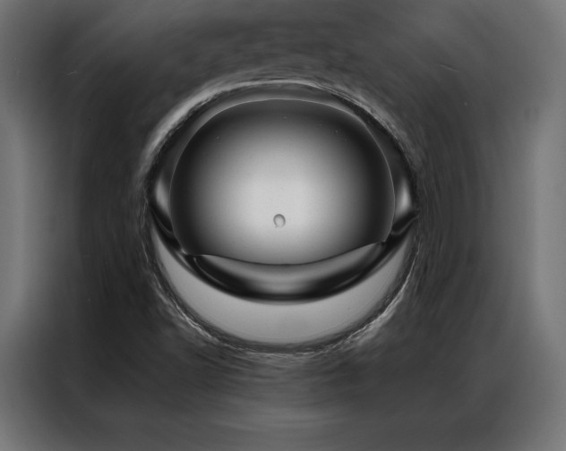 X0000087021502200704161552