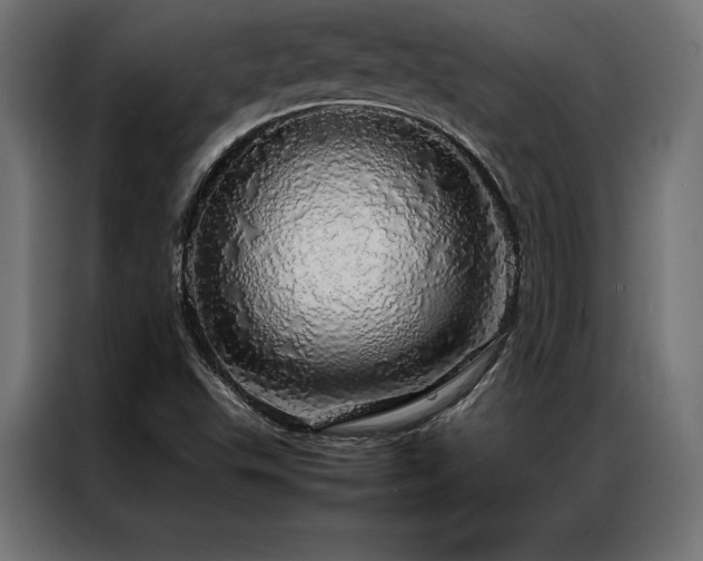 X0000087021503200704161552