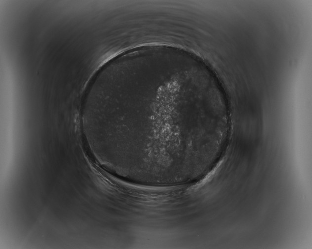 X0000087021505200704161552