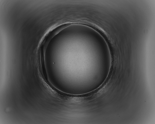 X0000087021506200704161552