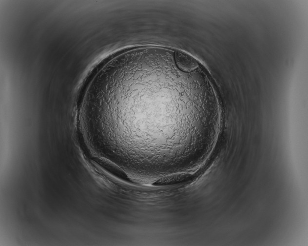 X0000087021507200704161552
