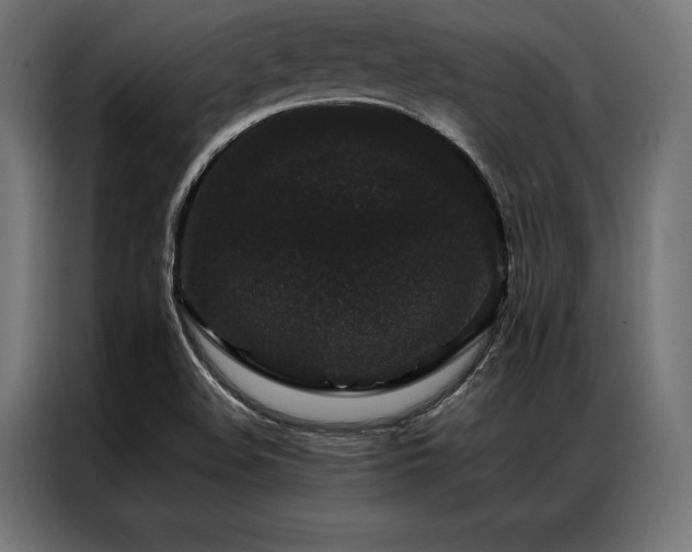 X0000087021508200704161552