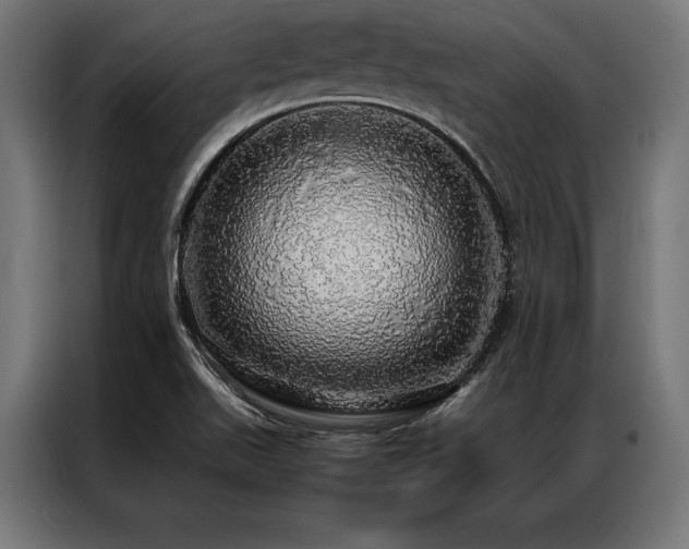 X0000087021511200704161552