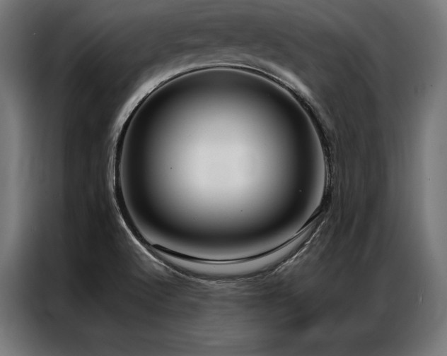 X0000087021512200704161552