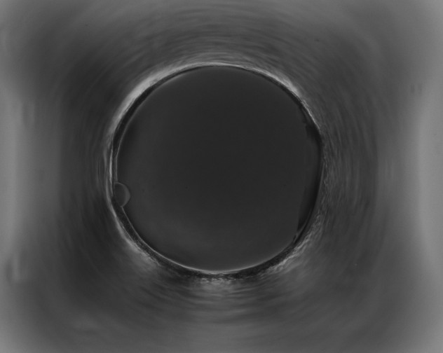 X0000087021515200704161552