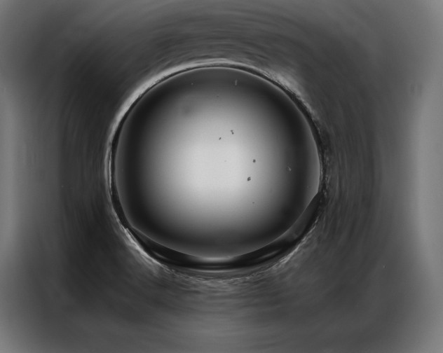 X0000087021516200704161552
