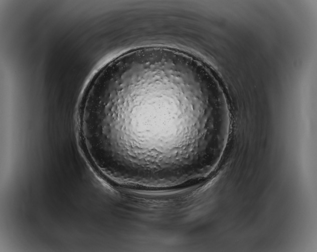 X0000087021517200704161552
