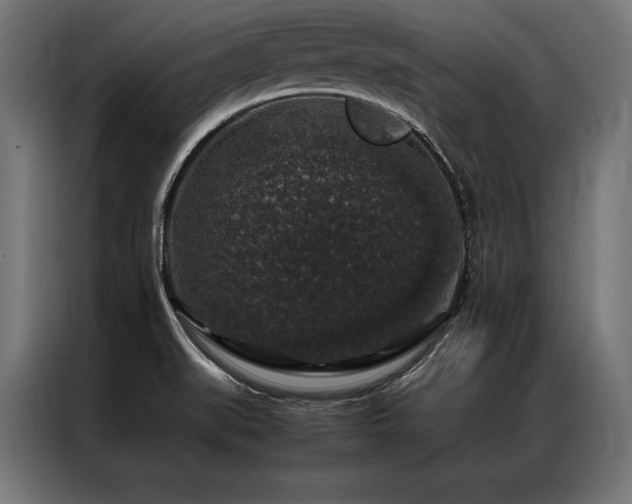 X0000087021519200704161552