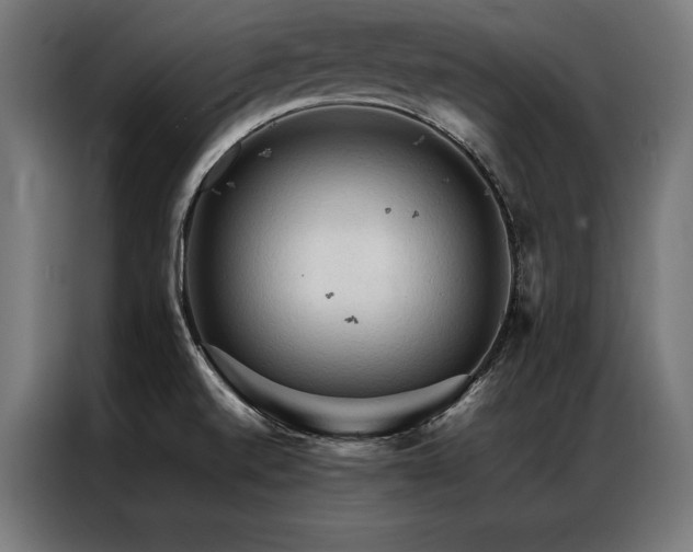 X0000087021520200704161552