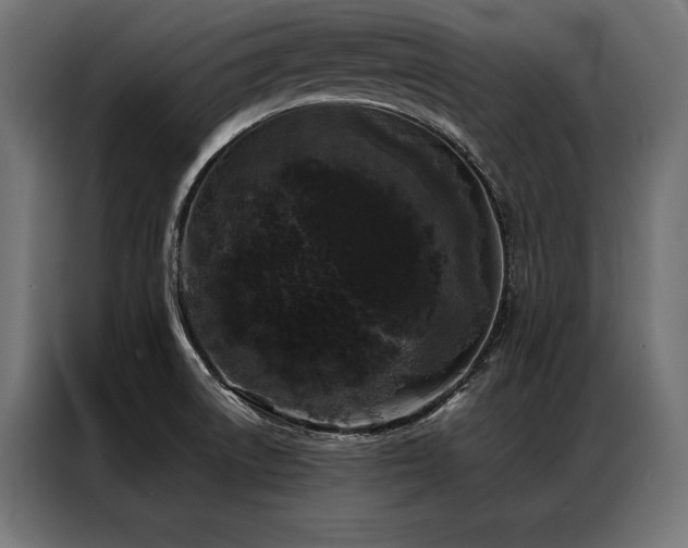 X0000087021522200704161552