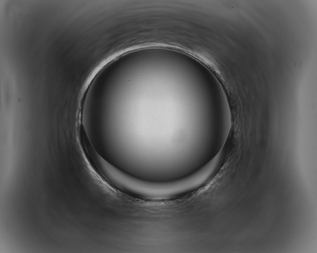X0000087021524200704161552