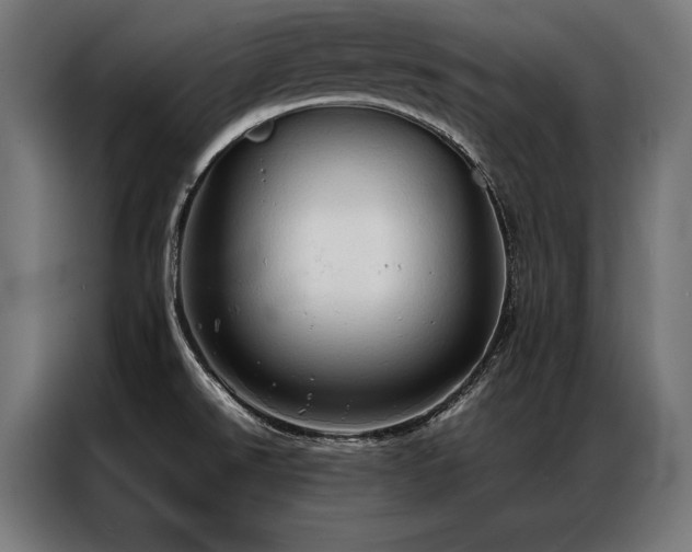 X0000087021526200704161552