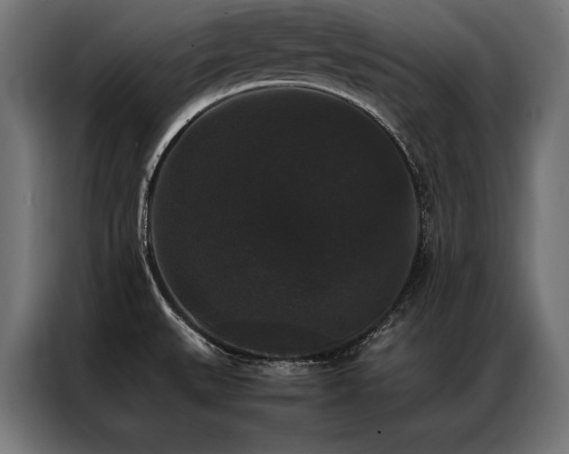 X0000087021527200704161552