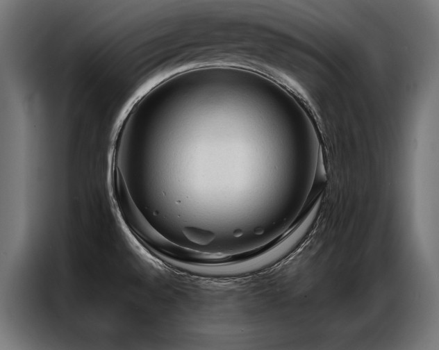 X0000087021528200704161552