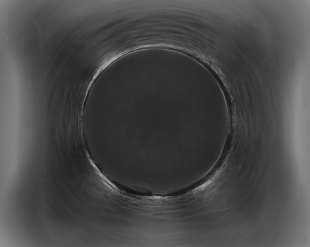 X0000087021529200704161552