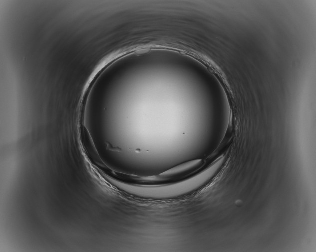X0000087021530200704161552