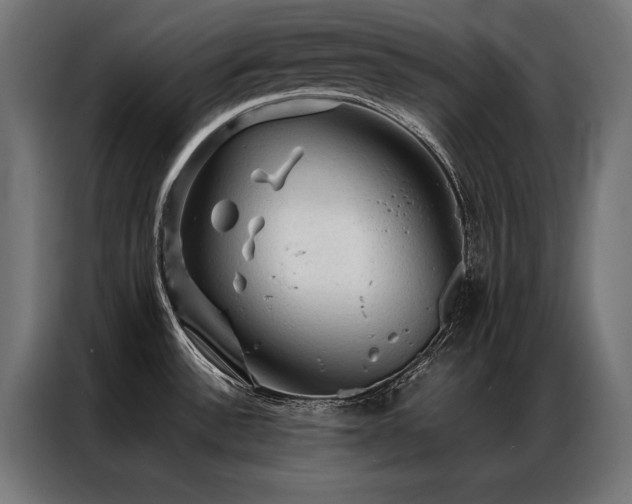 X0000087021532200704161552