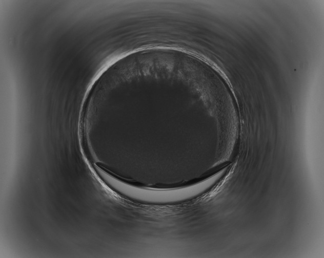 X0000087021533200704161552