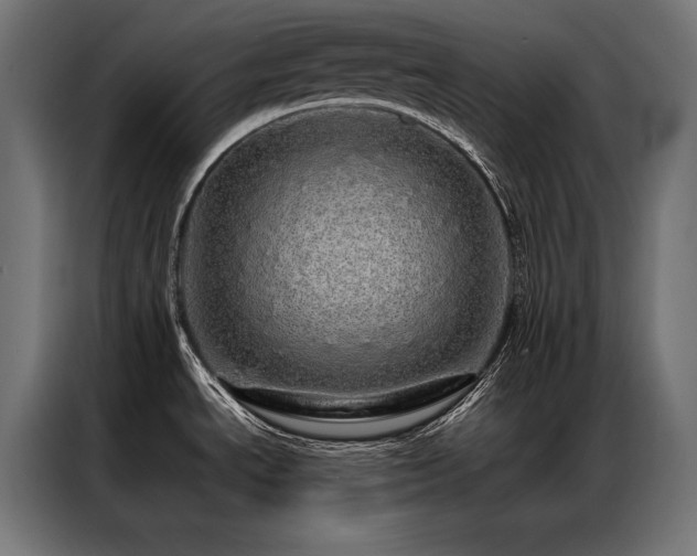 X0000087021534200704161552