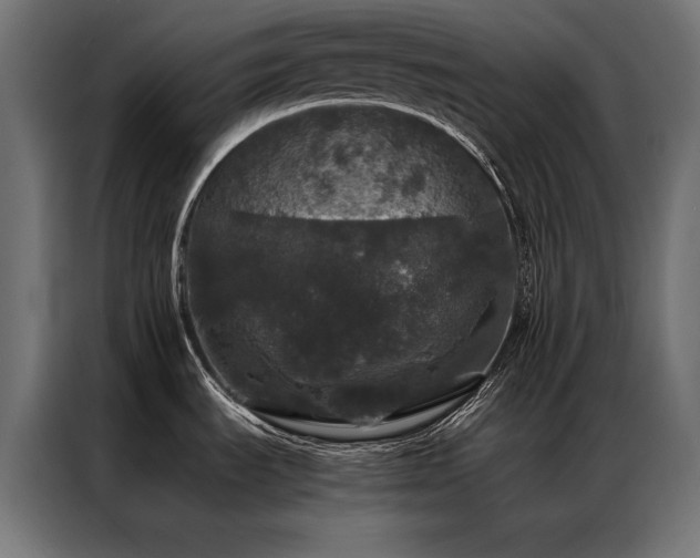 X0000087021535200704161552