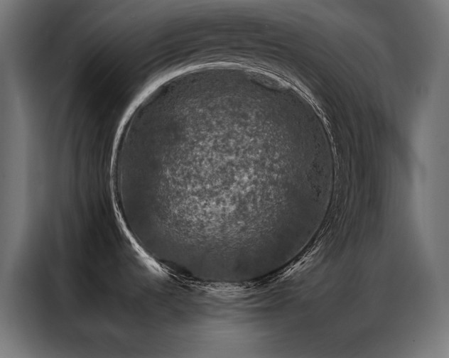 X0000087021536200704161552
