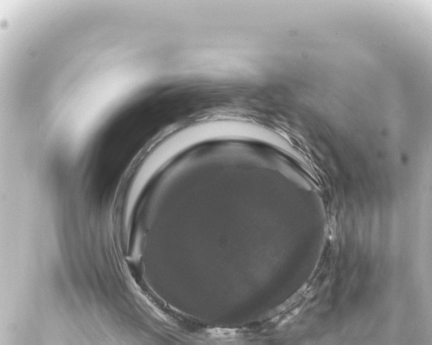 X0000087020052200704232010