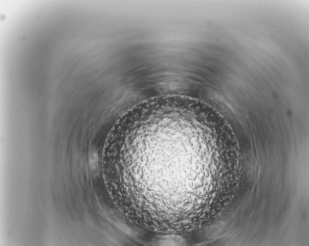 X0000087020087200704232010