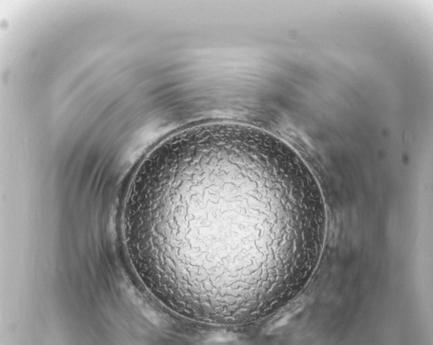 X0000087020098200704232010