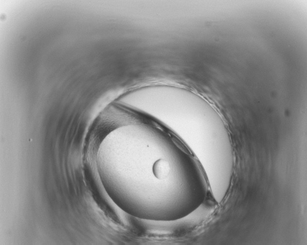 X0000087020104200704232010