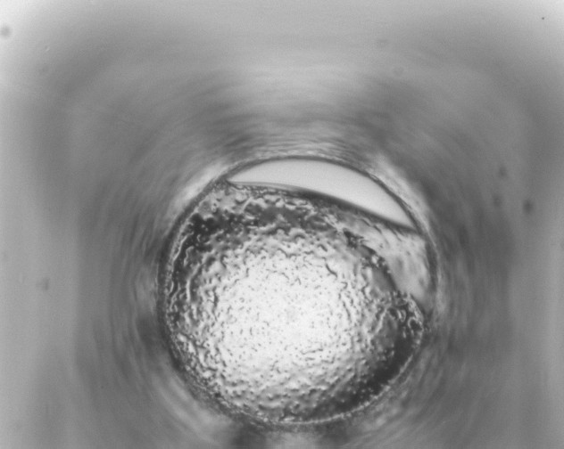 X0000087020107200704232010