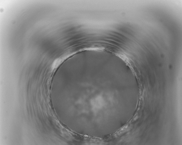 X0000087020337200704232005