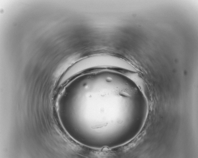 X0000087020341200704232005