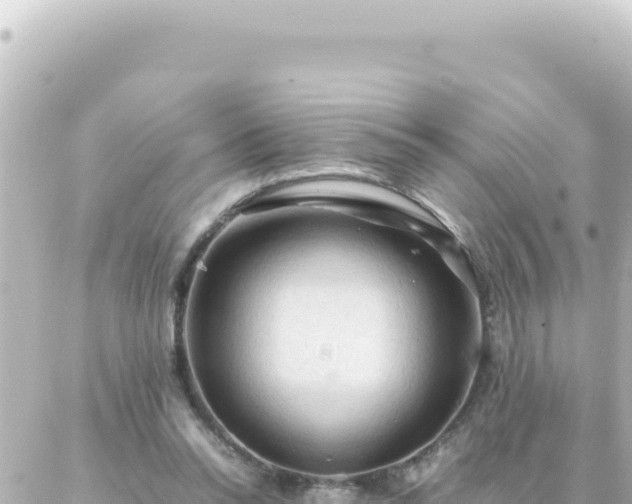 X0000087020350200704232005