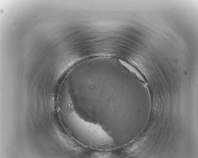 X0000087020351200704232005