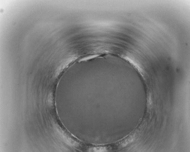 X0000087020353200704232005