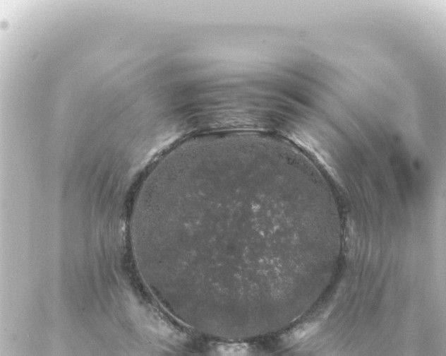 X0000087020355200704232005