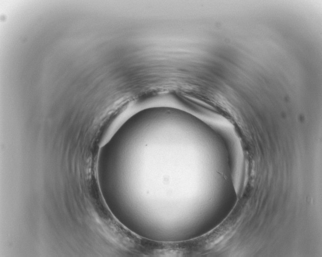 X0000087020356200704232005