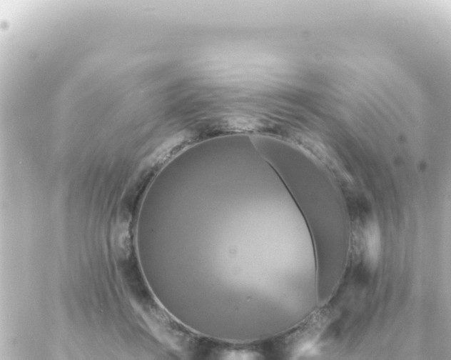 X0000087020360200704232005