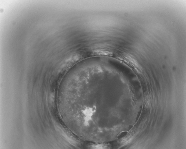 X0000087020365200704232005