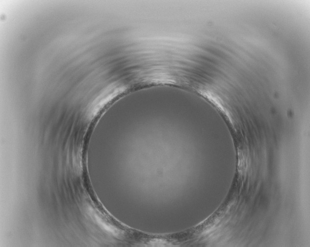 X0000087020390200704232005