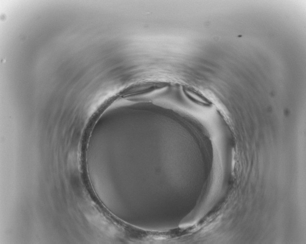 X0000087020391200704232005