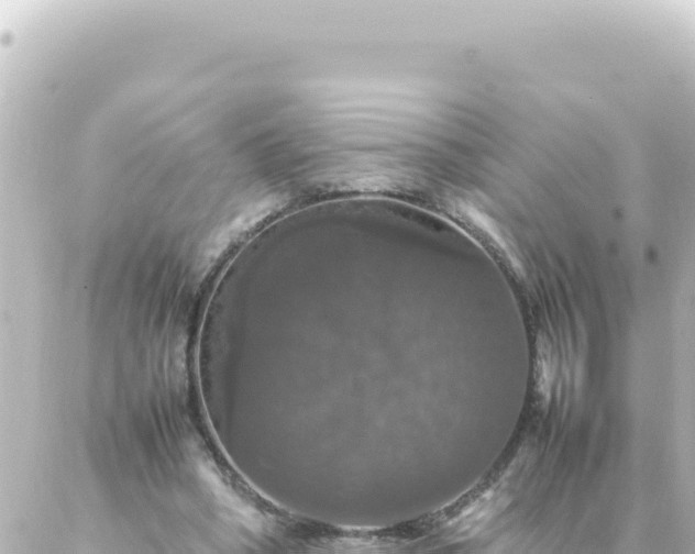 X0000087020394200704232005