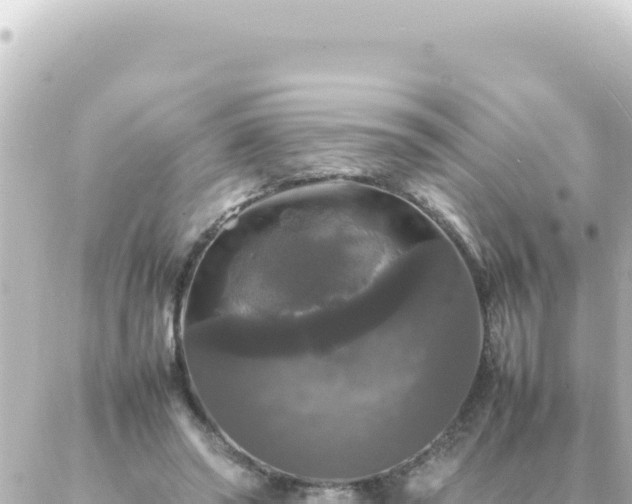 X0000087020398200704232005