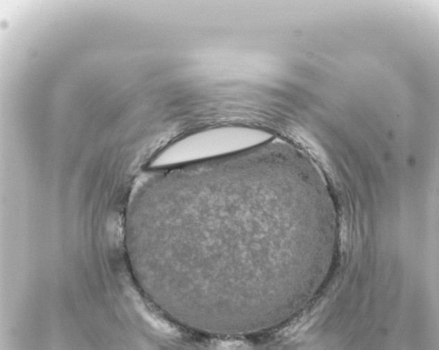 X0000087020401200704232005