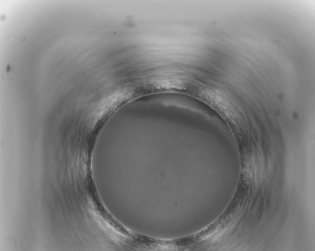 X0000087020402200704232005