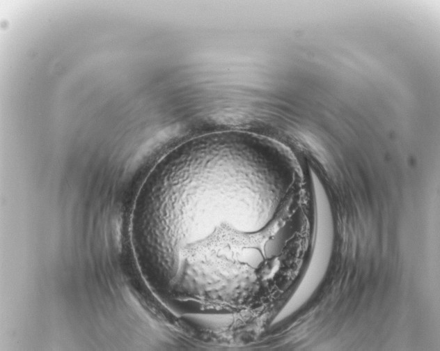 X0000087020404200704232005