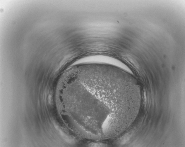 X0000087020408200704232005