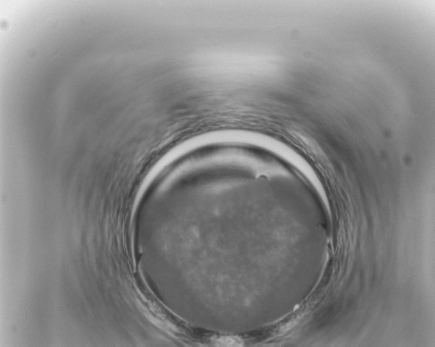 X0000087020409200704232005