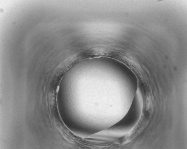 X0000087020413200704232005