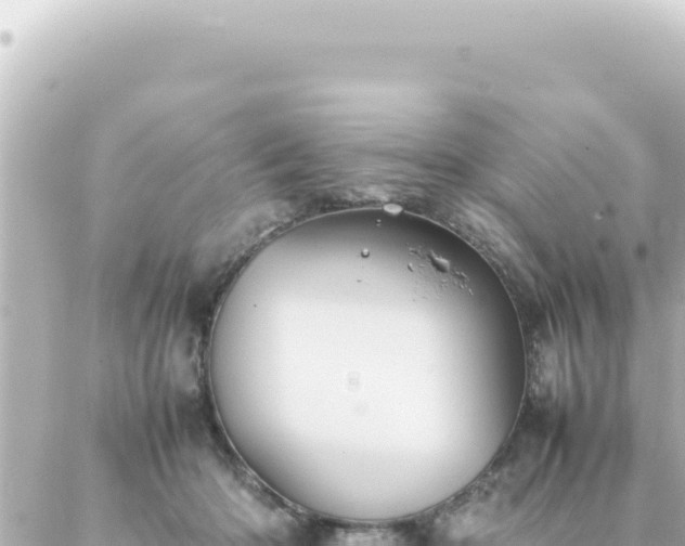 X0000087020414200704232005